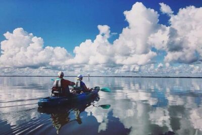 Thousand Island Mangrove Tunnel, Manatee & Dolphin Kayak Tour w/Cocoa Kayaking - Kayak Choice and Pacing: Single vs Tandem Tarpon 120 Comfort