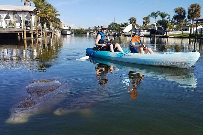 Thousand Island Mangrove Tunnel, Manatee & Dolphin Kayak Tour w/Cocoa Kayaking - Best Time to See Wildlife: 9:00 AM Makes a Real Difference