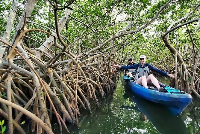 Thousand Island Mangrove Tunnel, Manatee & Dolphin Kayak Tour w/Cocoa Kayaking - What the Guides Add: From James to Michael to Susie