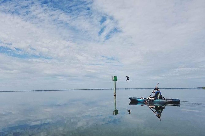 Thousand Island Mangrove Tunnel, Manatee & Dolphin Kayak Tour w/Cocoa Kayaking - Fitness Level and Comfort: A Relaxing Paddle, Not a Workout Race