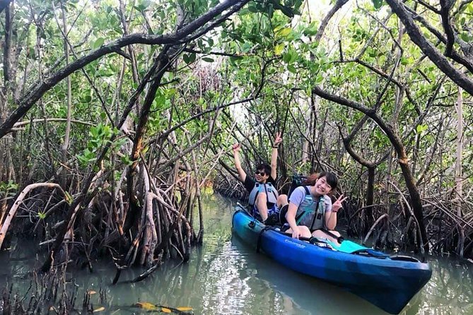 Thousand Island Mangrove Tunnel, Manatee & Dolphin Kayak Tour w/Cocoa Kayaking - Weather Rules and Real-World Expectations