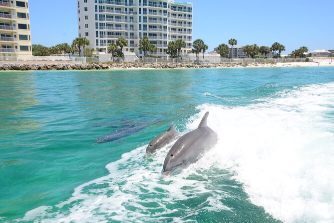 Thriller Speedboat Dolphin Tours in Destin Florida - Where You Start: Slip A, Harbor Blvd, and the Pre-Trip Flow