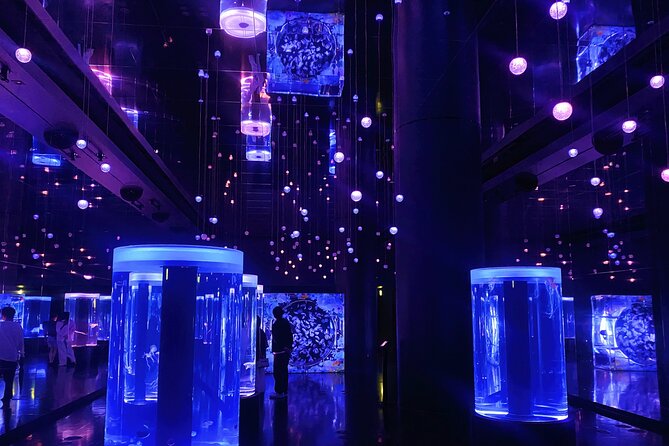 Tokyo Night E-Bike Tour with Tokyo Tower and Dolphin Show - Tokyo Tower Top Deck: 360° night views, about 45 minutes