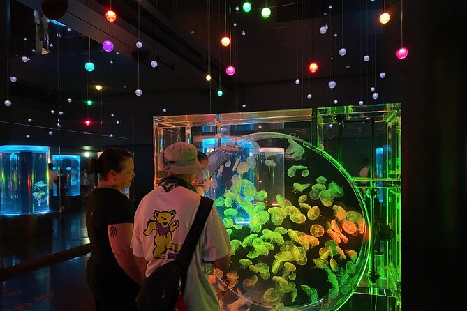 Tokyo Night E-Bike Tour with Tokyo Tower and Dolphin Show - Maxell Aqua Park at night: dolphin show included, about 45 minutes