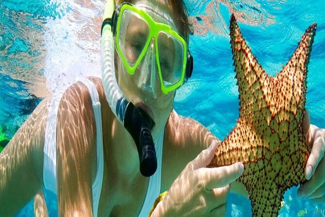 Tour and Swimming at the Dolphin House in Hurghada - The dolphin encounter: “95%” odds and what that really means