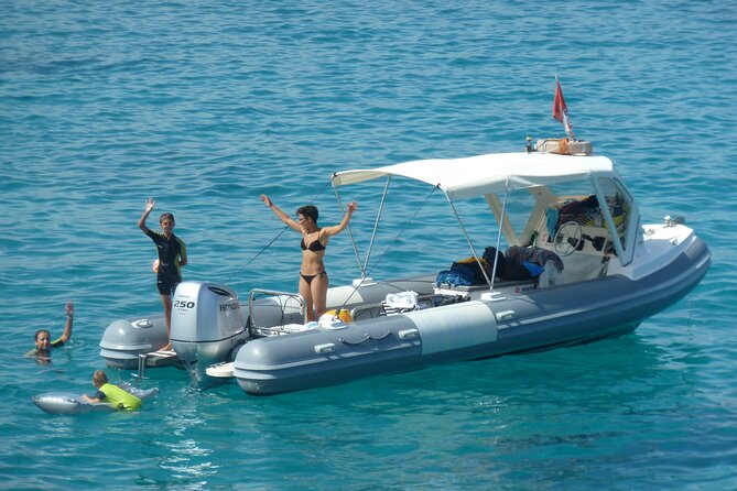 Tour to Figarolo Island with the possibility to observe dolphins - Dolphin watching at the fish farm: how the odds work