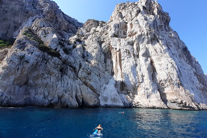 Tour to Figarolo Island with the possibility to observe dolphins - Marine life beyond dolphins: snorkeling spots and what you might see