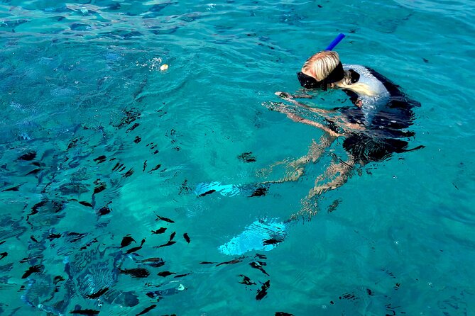 Tour to Figarolo Island with the possibility to observe dolphins - Who this tour fits best (and who should rethink it)