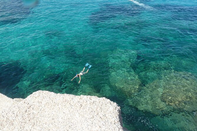 Tour to Figarolo Island with the possibility to observe dolphins - From Blue Way to sea: why the logistics matter more than you think
