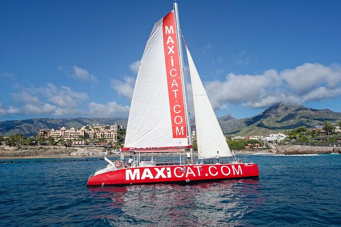 Tour with Whale and Dolphin Watching plus food included - Costa Adeje on a MAXICAT catamaran: why this route feels different
