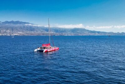 Tour with Whale and Dolphin Watching plus food included - Spaghetti Beach (Diego Hernández Bay): a quick Atlantic swim