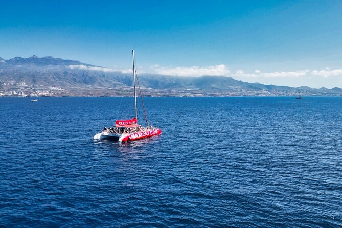 Tour with Whale and Dolphin Watching plus food included - Spaghetti Beach (Diego Hernández Bay): a quick Atlantic swim