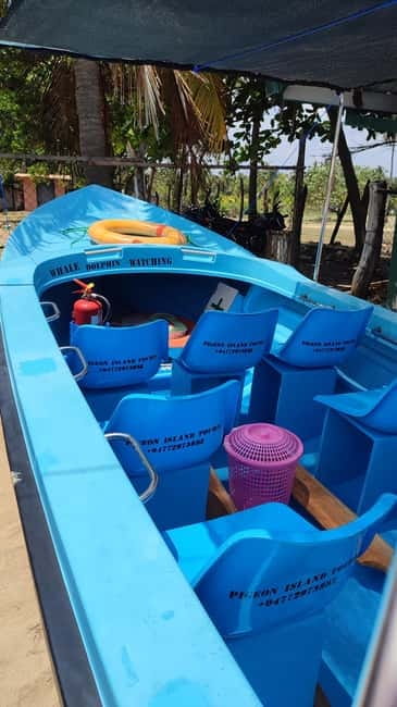 Trincomalee: Dolphin & Whale Watching Boat Tour - Trincomalee from Nilaveli: the morning timing that actually matters