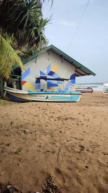 Trincomalee: Dolphin & Whale Watching Boat Tour - Dolphins first, then the whale scan