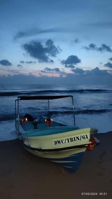 Trincomalee: Dolphin & Whale Watching Boat Tour - What to watch for on the day: photo opportunities and spotting cues