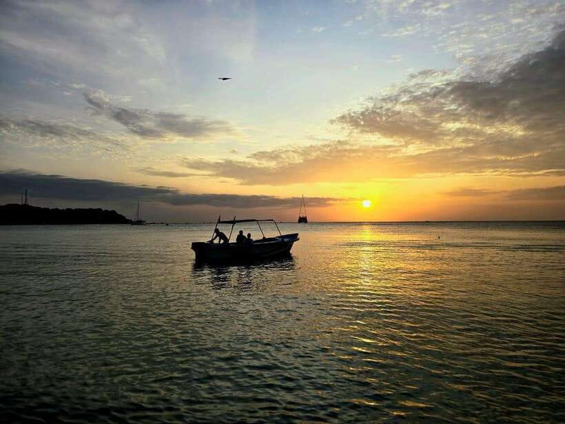 Trincomalee : Whale & dolphin watching +pigeon island tour - Key highlights you’ll actually care about