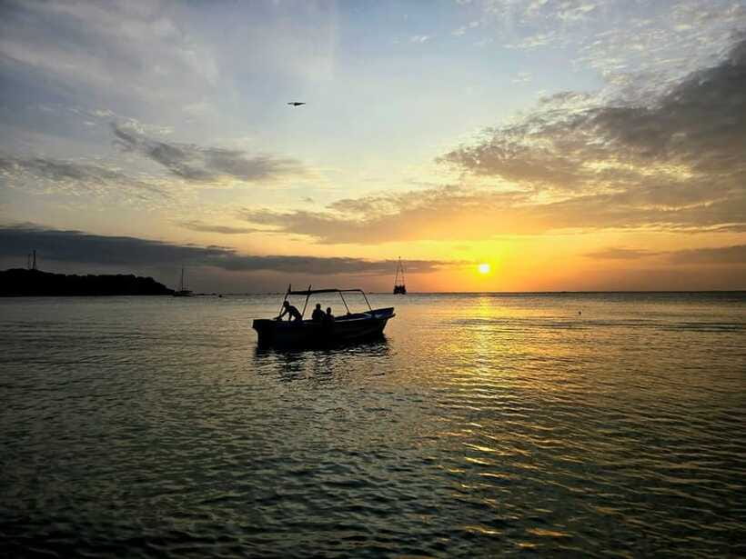 Trincomalee : Whale & dolphin watching +pigeon island tour - Pigeon Island snorkeling: your best chance to see marine life up close