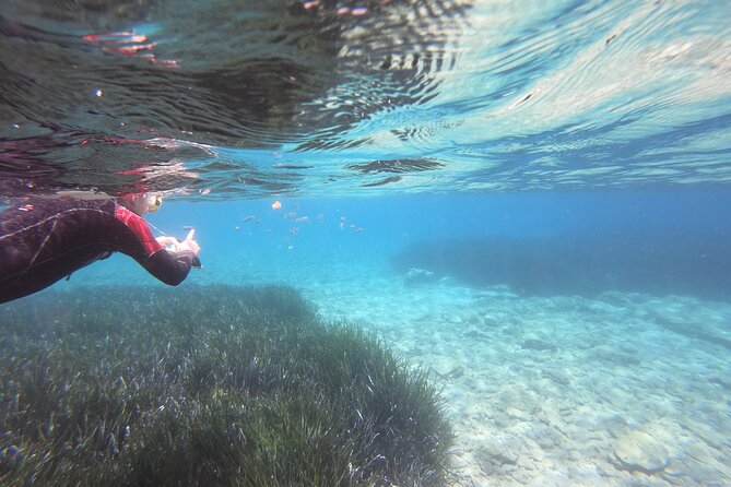 Try Snorkeling in the Sea with the Blue Dolphin Team - Key highlights you’ll feel right away