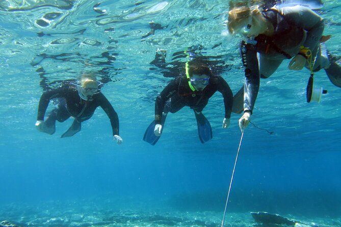 Try Snorkeling in the Sea with the Blue Dolphin Team - Why this 4 pm Elounda snorkeling lesson is worth your time