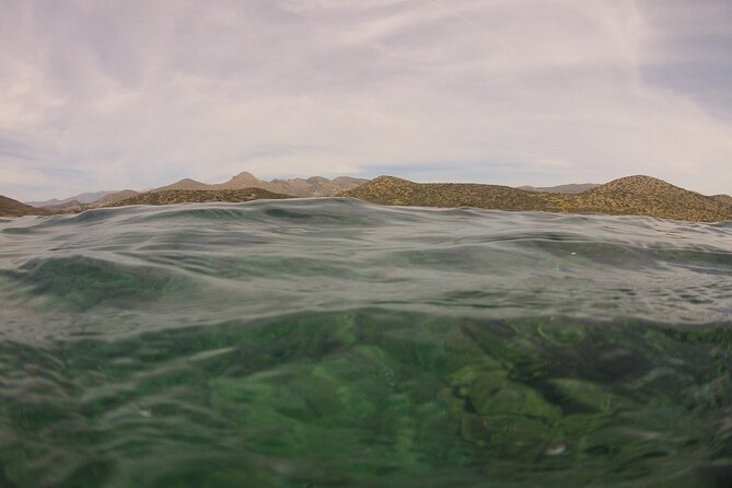 Try Snorkeling in the Sea with the Blue Dolphin Team - Shallow-water practice at about 1.5 meters (the confidence-builder)