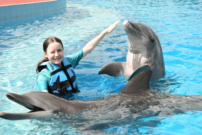 Tulum & Dolphin Connection from Cancun - Dolphin Discovery near Akumal: 40 Minutes in the Water