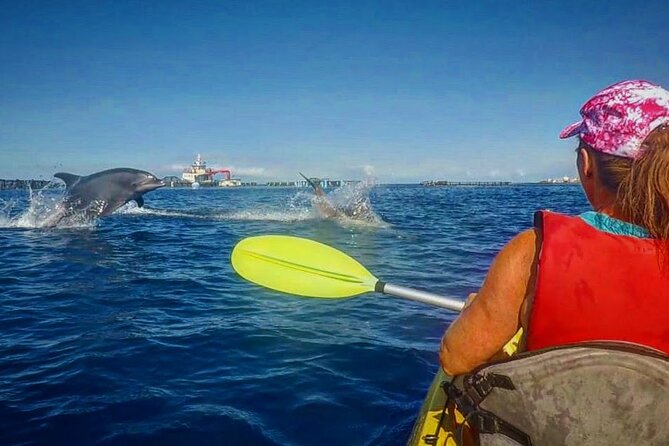 Turtle and Dolphin Watching Kayaking and Snorkeling Tour - Turtle Bay in 2.5 hours: why this tour fits Tenerife