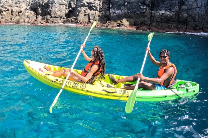 Turtle and Dolphin Watching Kayaking and Snorkeling Tour - Snorkeling time: turtles, dolphins, and stingrays (what to expect)