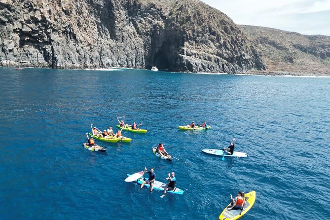 Turtle and Dolphin Watching Kayaking and Snorkeling Tour - Palm Mar cave stop: the scenic reset that makes it feel special