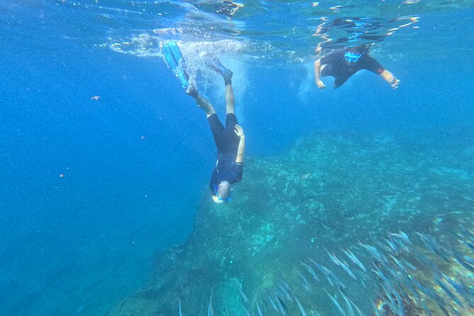 Turtle and Dolphin Watching Kayaking and Snorkeling Tour - Private tour pace: better control, less pressure