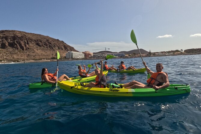 Turtle and Dolphin Watching Kayaking and Snorkeling Tour - Fitness level and weather: the two things you can’t ignore