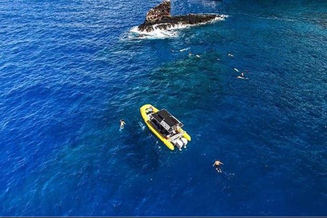 Ultimate 4 Hour Lanai Snorkel and Dolphin Encounter - Whale Season: What Changes From December to April
