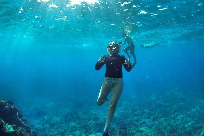 Ultimate 4 Hour Lanai Snorkel and Dolphin Encounter - Gear, Floatation, Sunscreen, and the Food You’ll Actually Use
