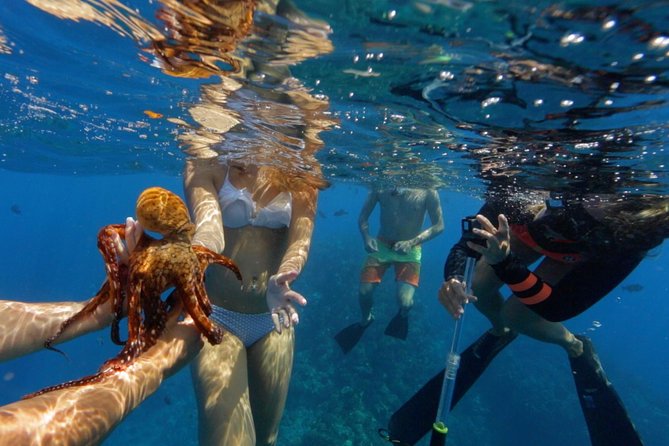 Ultimate 4 Hour Lanai Snorkel and Dolphin Encounter - Safety and the Crew Culture (Why It Shows Up in Real Life)