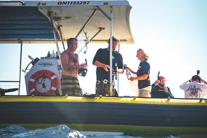Ultimate 4 Hour Lanai Snorkel and Dolphin Encounter - Conservation Angle: Your Ticket Does More Than Fund a Boat Ride