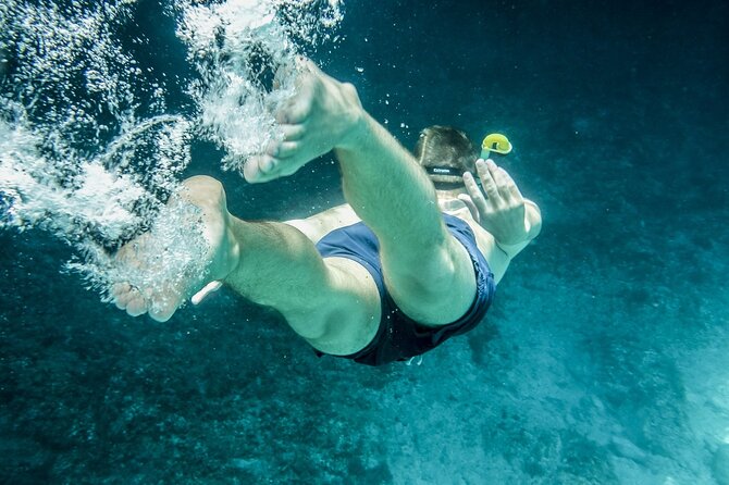 Ultimate Key West Day: Dolphin & Snorkel Combo with Sunset Sail - What You’ll Eat and Drink: Sample Menu, Real-World Value