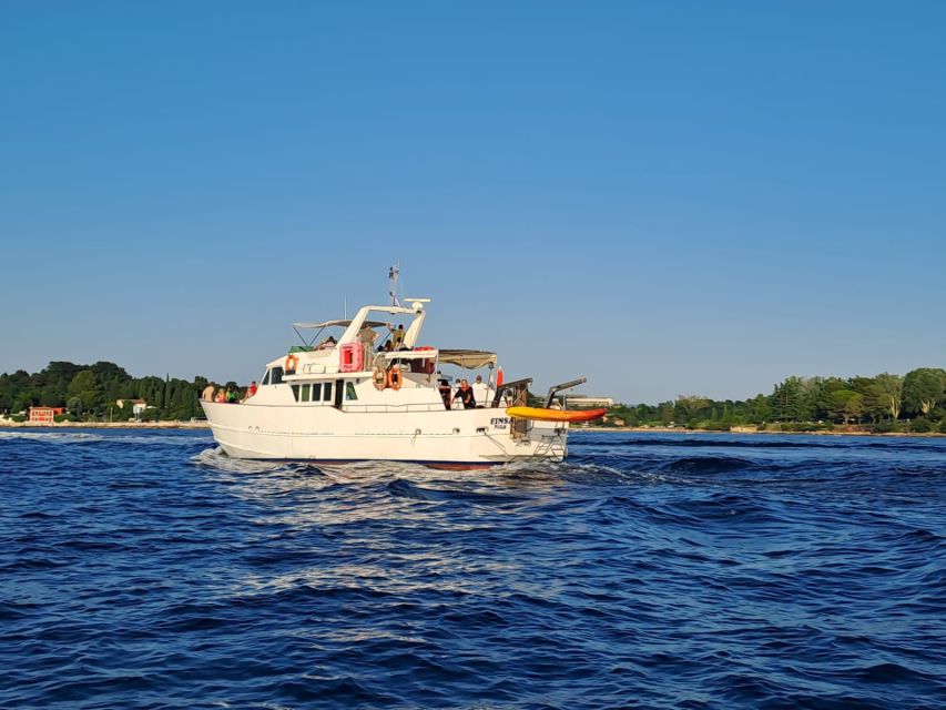 Umag: Sunset Cruise with Dolphin Spotting - Why This Umag Sunset Cruise Works for Dolphin Spotters
