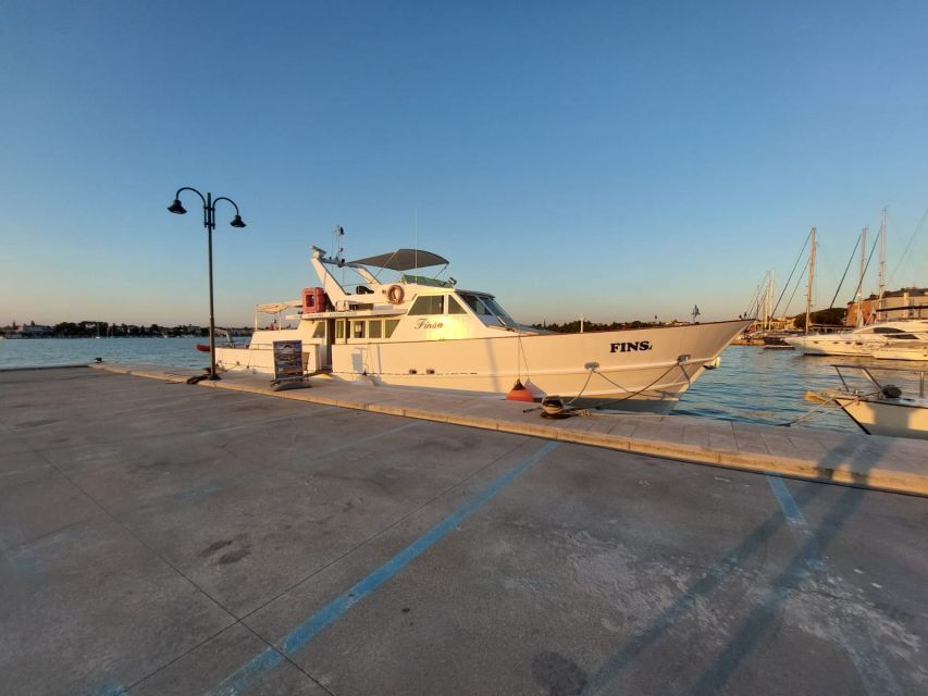 Umag: Sunset Cruise with Dolphin Spotting - Chasing Adriatic Dolphins: How the Captain Finds Them