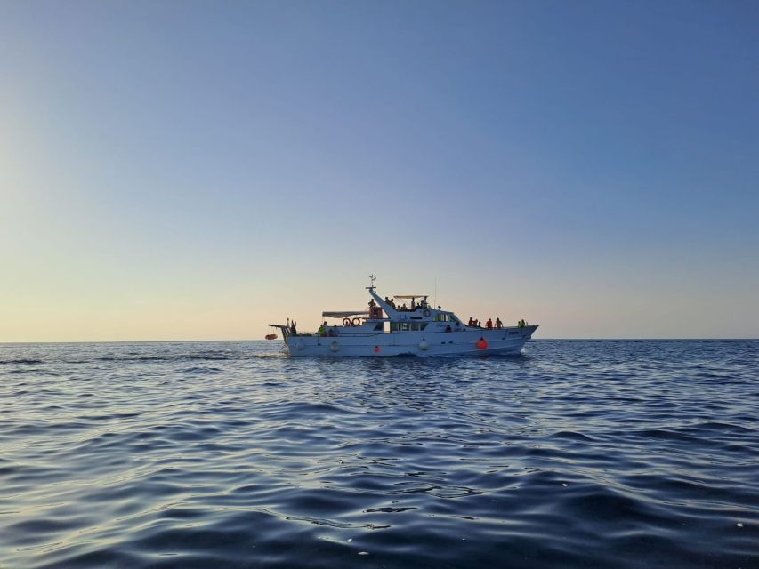 Umag: Sunset Cruise with Dolphin Spotting - Getting to the Pier and Boarding in Umag