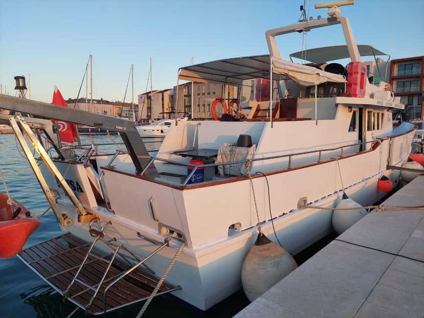 UMAG: Swimming&Panorama / Welcome Drink and Dolphin spotting - Price check: is $41 a good value in Istria?