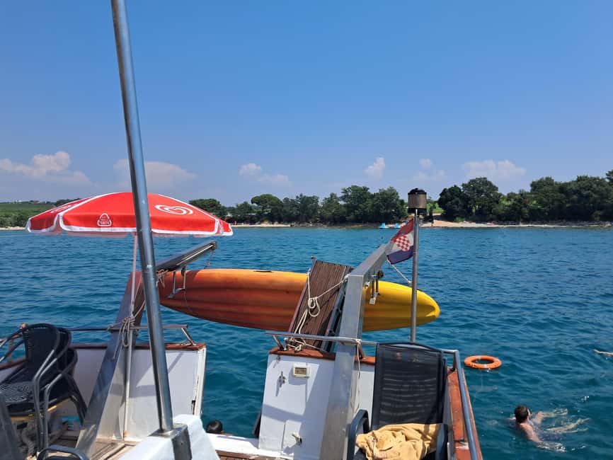 UMAG: Swimming&Panorama / Welcome Drink and Dolphin spotting - Dolphin-spotting in the wild: what to expect when nature does its own schedule