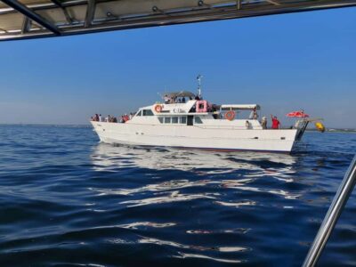 UMAG: Swimming&Panorama / Welcome Drink and Dolphin spotting - Umag coastline panorama: calm water, real geography, and the Savudrija lighthouse area