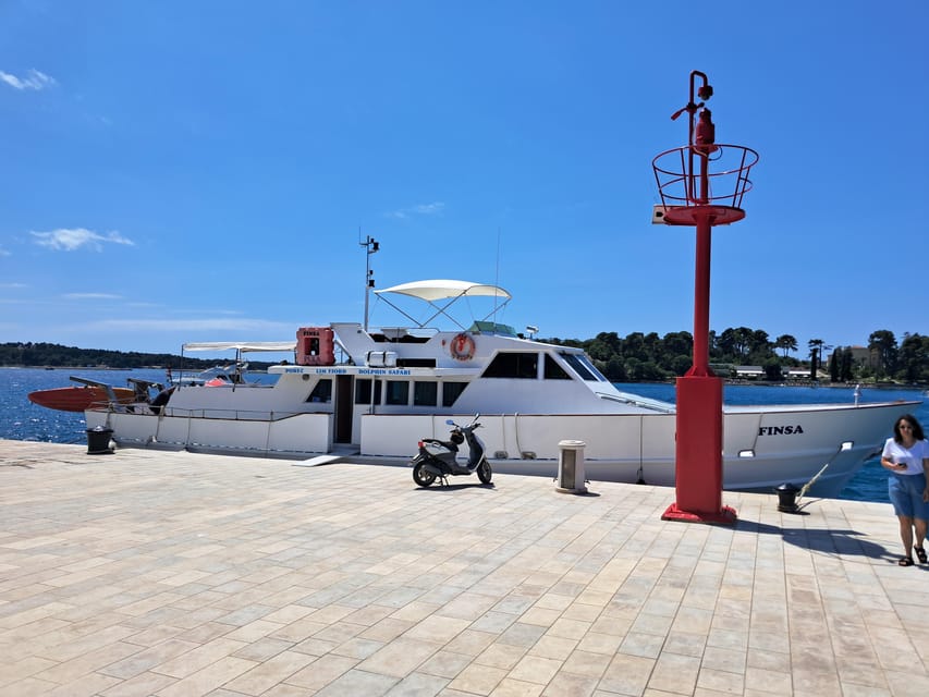 UMAG: Swimming&Panorama / Welcome Drink and Dolphin spotting - The swim stop: when the Adriatic becomes the plan, not the backdrop