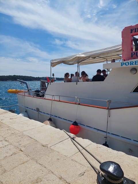 UMAG: Swimming&Panorama / Welcome Drink and Dolphin spotting - What to bring (and what to skip) for a smooth swim-and-sail