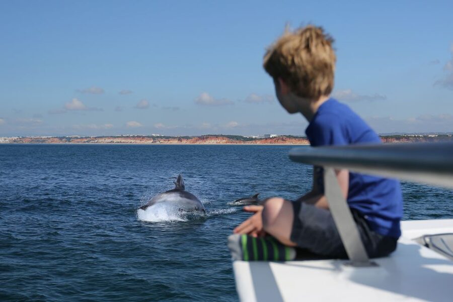 Vilamoura: Boat Tour Dolphin Quest & Marine Life Search - Quick reasons this tour gets such strong marks