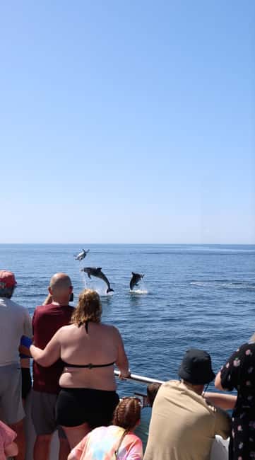 Vilamoura: Boat Tour Dolphin Quest & Marine Life Search - Vilamoura’s Dolphin Quest: what you’re really paying for