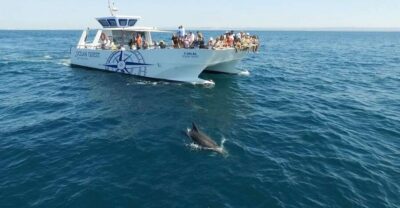 Vilamoura: Boat Tour Dolphin Quest & Marine Life Search - Finding O’Neills and getting on the water (without stress)