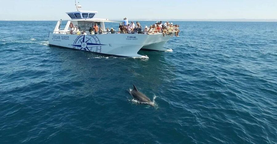 Vilamoura: Boat Tour Dolphin Quest & Marine Life Search - Finding O’Neills and getting on the water (without stress)