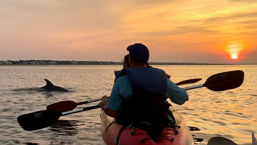 Virginia Beach: Dolphin Kayak Tour: This is a Workout! - What You’re Really Signing Up For: Dolphin Kayaking as a Workout