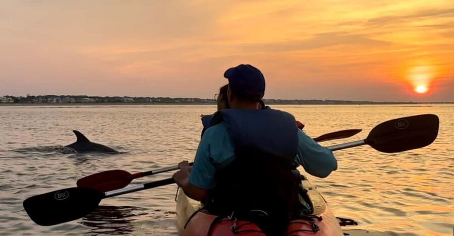 Virginia Beach: Dolphin Kayak Tour: This is a Workout! - Dolphin Spotting Odds: A Guided Search Beats Guessing