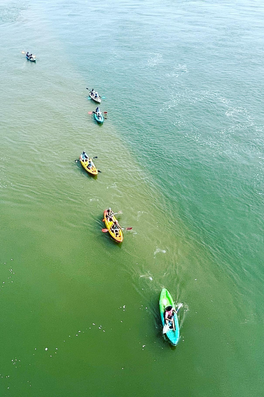 Virginia Beach: Dolphin Kayak Tour: This is a Workout! - What You Learn From the Guide (and Why That Matters)